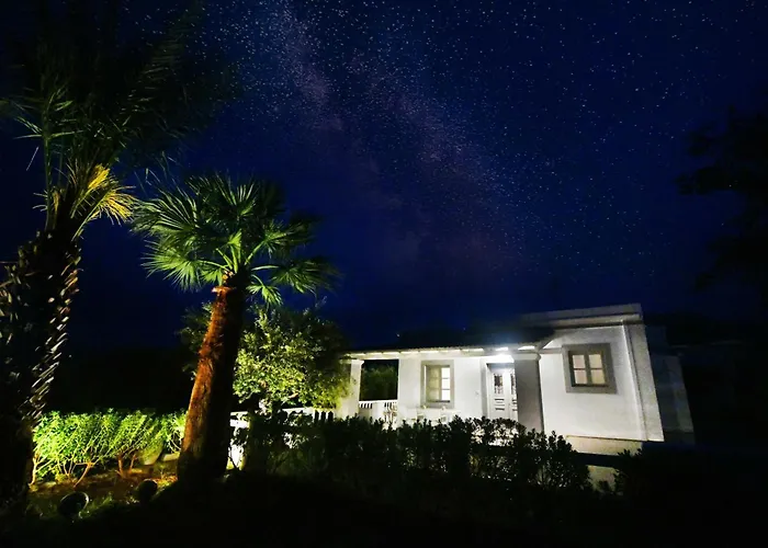 Olive Garden House Panormos (Kalymnos)