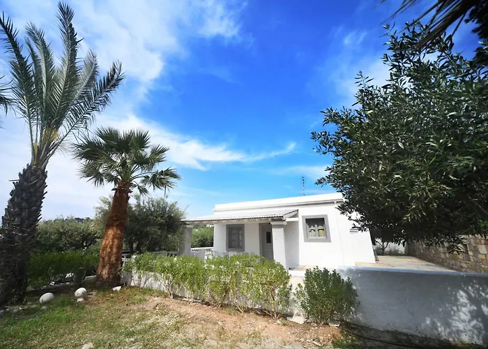 بيت للعطل Olive Garden House Panormos (Kalymnos)